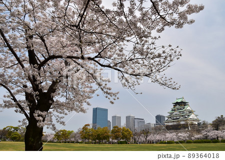日本の大阪府 春の大阪城公園 満開の桜と立派な天守閣 周辺の高層ビルの街並み 日本の大阪府 春の大阪城公園 満開の桜と立派な天守閣 周辺の高層ビルの街並み 89364018