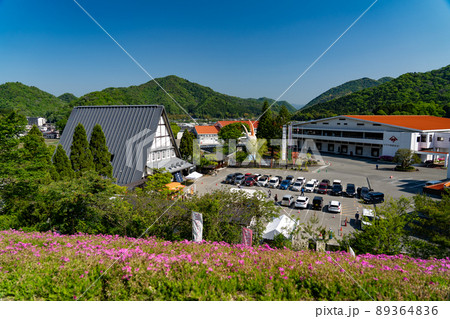 ヤマサ蒲鉾株式会社の芝桜 89364836