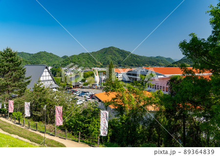 ヤマサ蒲鉾株式会社の芝桜 89364839