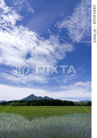 田植えを終えた水田に緑の磐梯山と青の空が写り、梅雨の晴れ間が綺麗だ。 田植えを終えた水田に緑の磐梯山と青の空が写り、梅雨の晴れ間が綺麗だ。 89364885