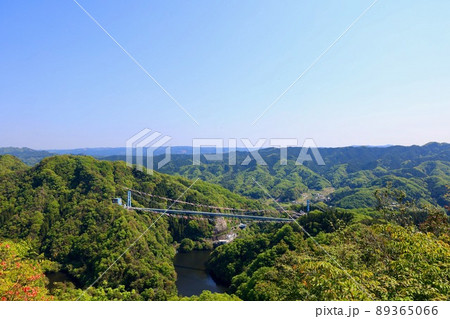 5月上旬　竜神峡大吊橋　茨城県常陸太田市 89365066