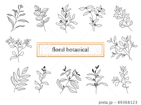 Hand drawn botanical set leaves and flowers for decoration. 89368123
