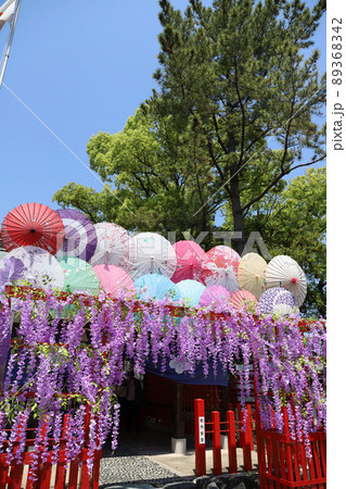 別小江神社　愛知県名古屋市北区 89368342