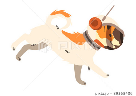 Dog Pet in Space Suit and Helmet Standing on the Moon Surface Vector Illustration Dog Pet in Space Suit and Helmet Standing on the Moon Surface Vector Illustration 89368406