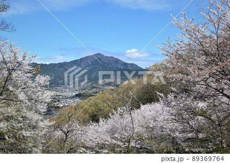 弘法山・権現山　山頂より箱根 89369764
