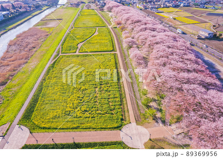 権現堂堤の桜並木と菜の花、桜の名所のドローン撮影 埼玉県の桜 中川沿の桜 権現堂堤の桜並木と菜の花、桜の名所のドローン撮影 埼玉県の桜 中川沿の桜 89369956