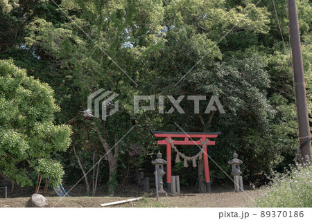 鳥居 鳥居 89370186