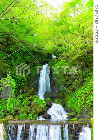 春の徳山のシッ谷の大タル、シッ谷の滝 89370371