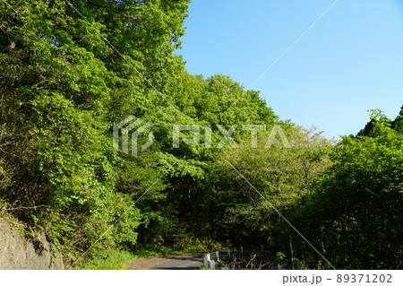 茨城県桜川市　青空を背景にした新緑の筑波山ろく林道の風景 89371202