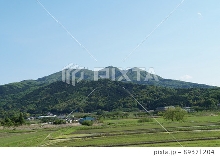 茨城県桜川市　青空を背景に筑波山を望む新緑の田園風景 89371204