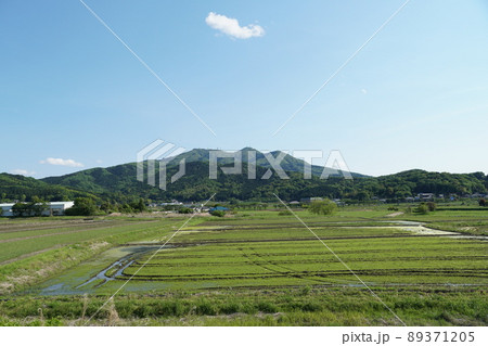 茨城県桜川市　青空を背景に筑波山を望む新緑の田園風景 89371205
