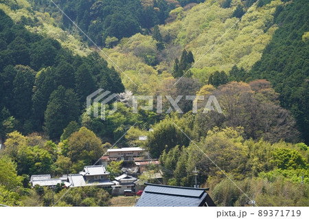 兵庫 川西市 徳林寺から見た黒川の里山風景(晩春) 兵庫 川西市 徳林寺から見た黒川の里山風景(晩春) 89371719