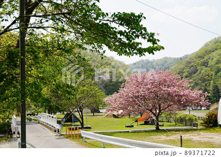 兵庫　川西市　黒川　知明湖キャンプ場（晩春） 89371722