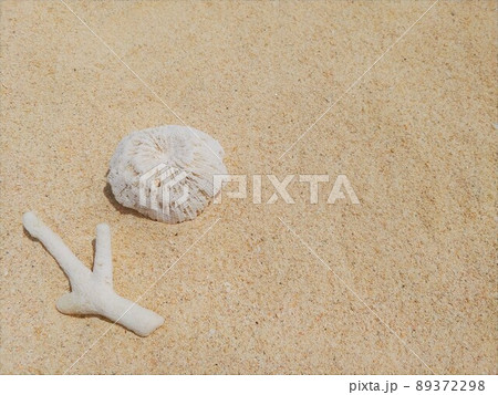 沖縄　珊瑚と砂浜2 89372298