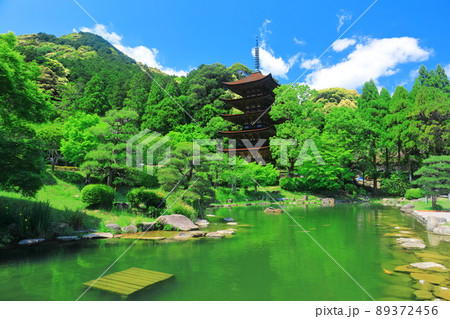 【山口県】新緑の瑠璃光寺五重塔と塔影池 89372456