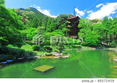 【山口県】新緑の瑠璃光寺五重塔と塔影池 【山口県】新緑の瑠璃光寺五重塔と塔影池 89372459