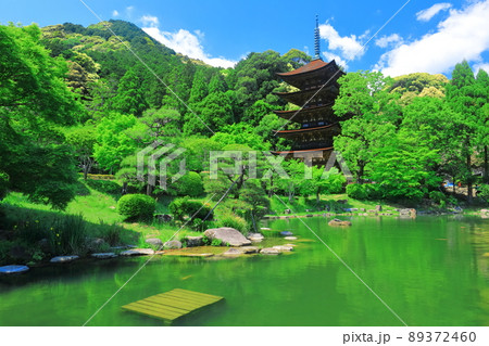 【山口県】新緑の瑠璃光寺五重塔と塔影池 【山口県】新緑の瑠璃光寺五重塔と塔影池 89372460