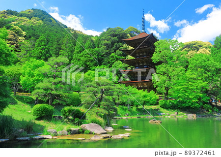 【山口県】新緑の瑠璃光寺五重塔と塔影池 【山口県】新緑の瑠璃光寺五重塔と塔影池 89372461