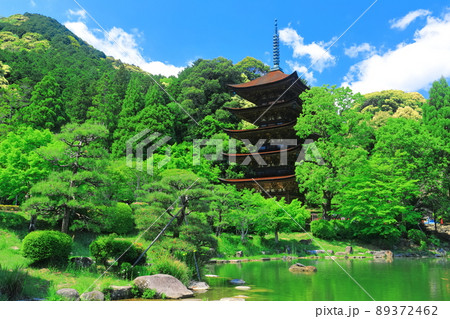 【山口県】新緑の瑠璃光寺五重塔と塔影池 89372462