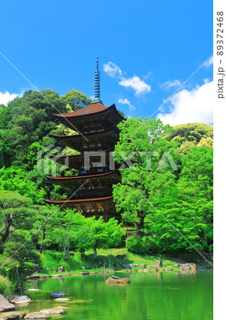 【山口県】新緑の瑠璃光寺五重塔と塔影池 【山口県】新緑の瑠璃光寺五重塔と塔影池 89372468