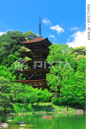 【山口県】新緑の瑠璃光寺五重塔と塔影池 【山口県】新緑の瑠璃光寺五重塔と塔影池 89372469