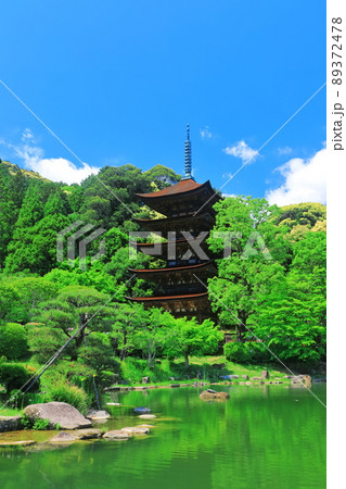 【山口県】新緑の瑠璃光寺五重塔と塔影池 【山口県】新緑の瑠璃光寺五重塔と塔影池 89372478