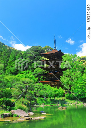 【山口県】新緑の瑠璃光寺五重塔と塔影池 【山口県】新緑の瑠璃光寺五重塔と塔影池 89372480