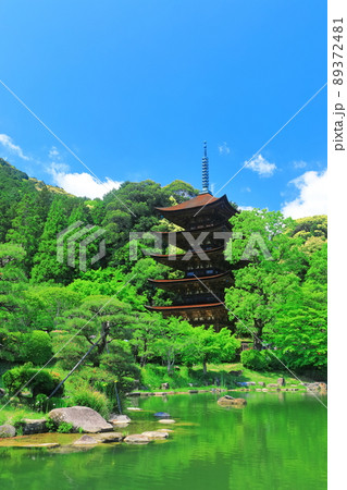 【山口県】新緑の瑠璃光寺五重塔と塔影池 【山口県】新緑の瑠璃光寺五重塔と塔影池 89372481