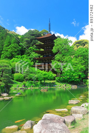 【山口県】新緑の瑠璃光寺五重塔と塔影池 【山口県】新緑の瑠璃光寺五重塔と塔影池 89372482