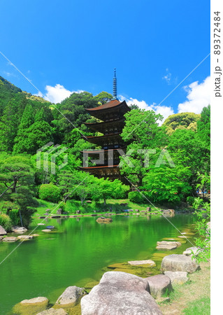 【山口県】新緑の瑠璃光寺五重塔と塔影池 【山口県】新緑の瑠璃光寺五重塔と塔影池 89372484