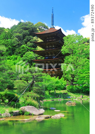 【山口県】新緑の瑠璃光寺五重塔と塔影池 89372490