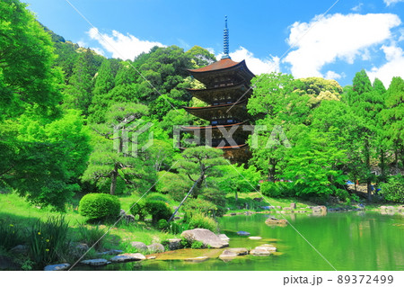 【山口県】新緑の瑠璃光寺五重塔と塔影池 89372499