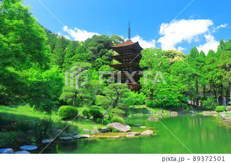 【山口県】新緑の瑠璃光寺五重塔と塔影池 【山口県】新緑の瑠璃光寺五重塔と塔影池 89372501
