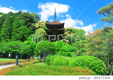 【山口県】新緑の瑠璃光寺五重塔 【山口県】新緑の瑠璃光寺五重塔 89372504
