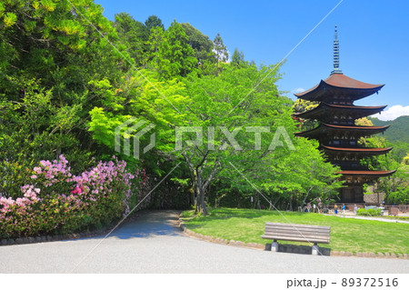 【山口県】新緑の瑠璃光寺五重塔 【山口県】新緑の瑠璃光寺五重塔 89372516