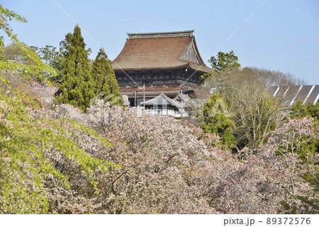 【奈良県吉野山】春の金峯山寺(世界遺産) 【奈良県吉野山】春の金峯山寺(世界遺産) 89372576