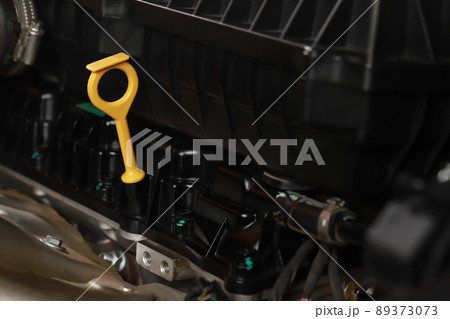 The mechanic is checking the engine oil. 89373073