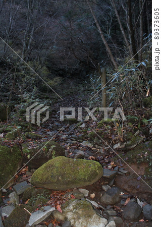 つるべ落としの滝ハイキングコース 89373605