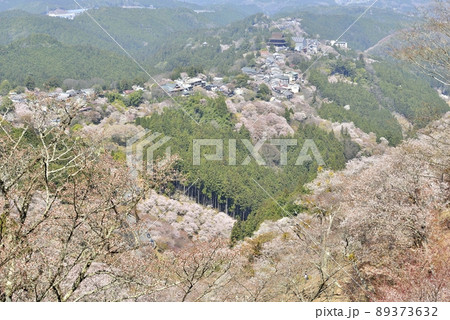 【奈良県吉野山】上千本の桜 【奈良県吉野山】上千本の桜 89373632
