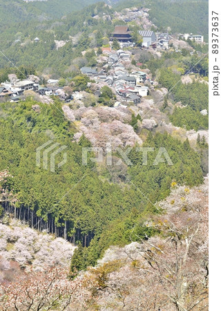 【奈良県吉野山】上千本の桜 89373637