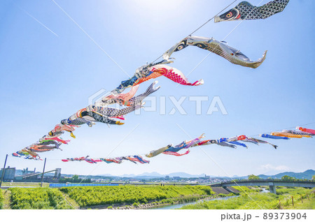 風に吹かれて元気に泳ぐこいのぼり 風に吹かれて元気に泳ぐこいのぼり 89373904