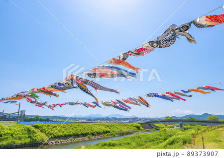風に吹かれて元気に泳ぐこいのぼり 89373907