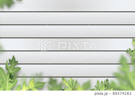 Green papaya leaf on white wooden planks background. Empty space for copy. Green papaya leaf on white wooden planks background. Empty space for copy. 89374262