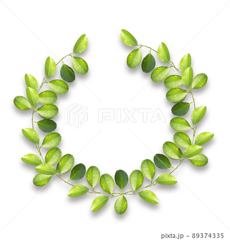 Green wreath with leaves on white background. Lemon leaves branches. top view, copy space. 89374335