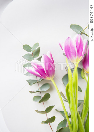 Beautiful purple tulip with eucalyptus on a white chair. Spring mood. Postcard for March 8. Beautiful purple tulip with eucalyptus on a white chair. Spring mood. Postcard for March 8. 89374447