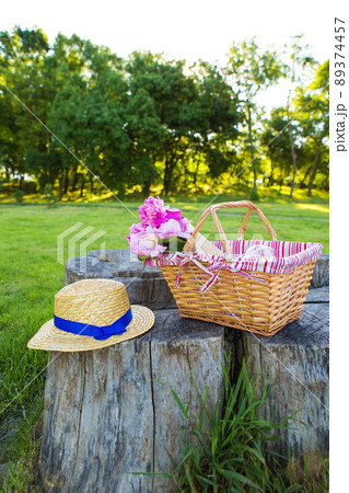 Bright summer picnic 89374457