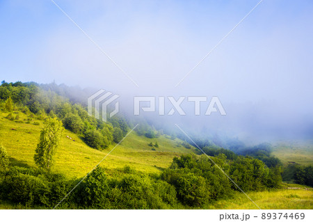 Carpathian nature in summer Carpathian nature in summer 89374469