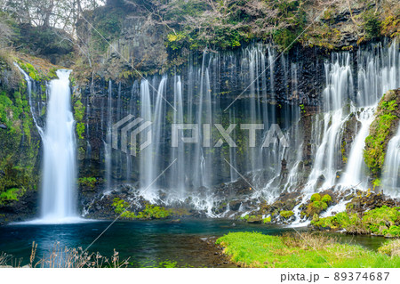 初春の白糸の滝 静岡県富士宮市 初春の白糸の滝 静岡県富士宮市 89374687