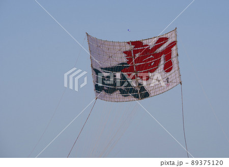 2022年　令和4年　座間市大凧大空を舞う 新風　相模川　飛ぶ 89375120