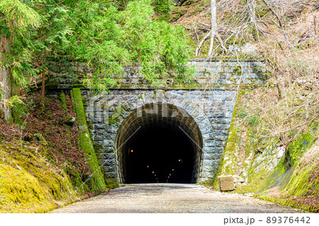 初春の旧天城トンネル　静岡県伊豆市 89376442